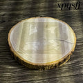 Treat Stencil - Decorate Lattes - Cappuccinos - Cupcakes